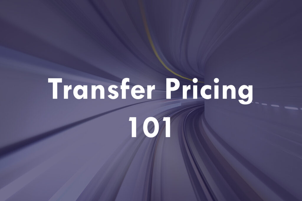 Transfer Pricing 101 Dealing With Intercompany Transactions Archipel   TP 101 1024x683 